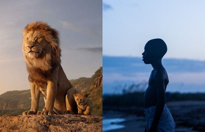 Cenas de O Rei Leão (2019) e Moonlight (2016) (Foto: Disney/Divulgação e Diamond Films/Divulgação) Cenas de O Rei Leão (2019) e Moonlight (2016) (Foto: Disney/Divulgação e Diamond Films/Divulgação)