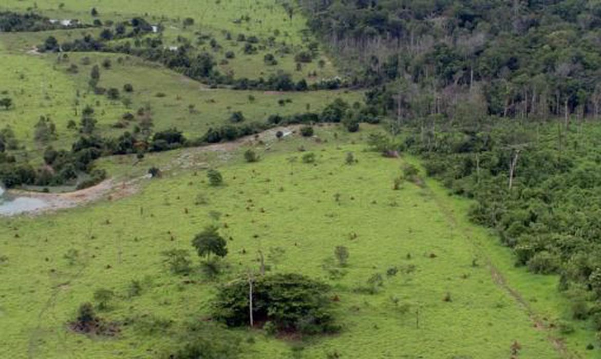 (Foto: MMA / Arquivo) (Foto: MMA / Arquivo)