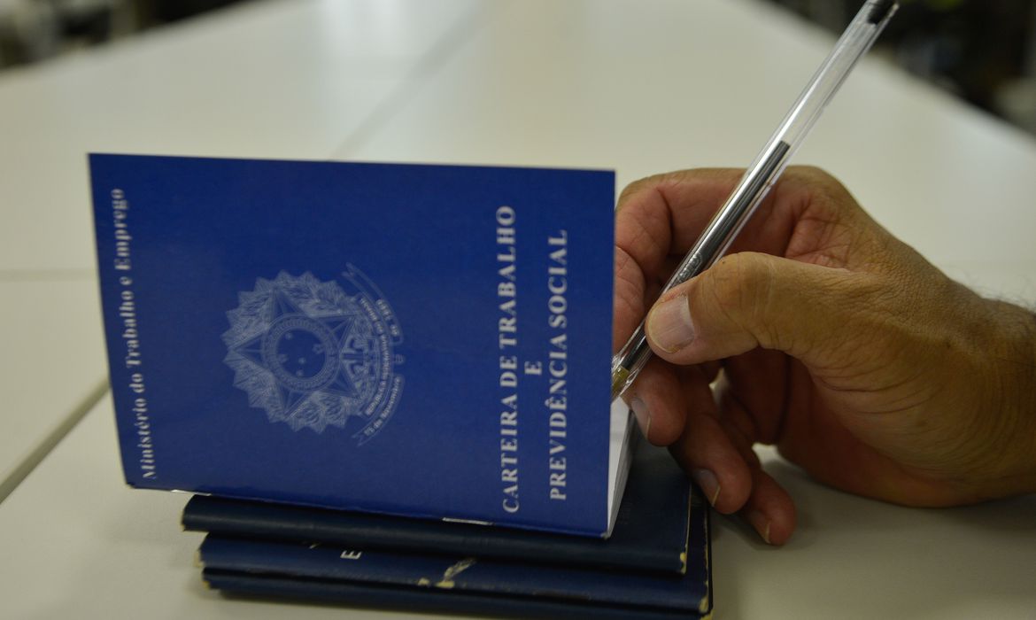 Setor privado registrou 29,4 milhes de trabalhadores formais (Foto: Marcello Casal Jr./Agncia Brasil )