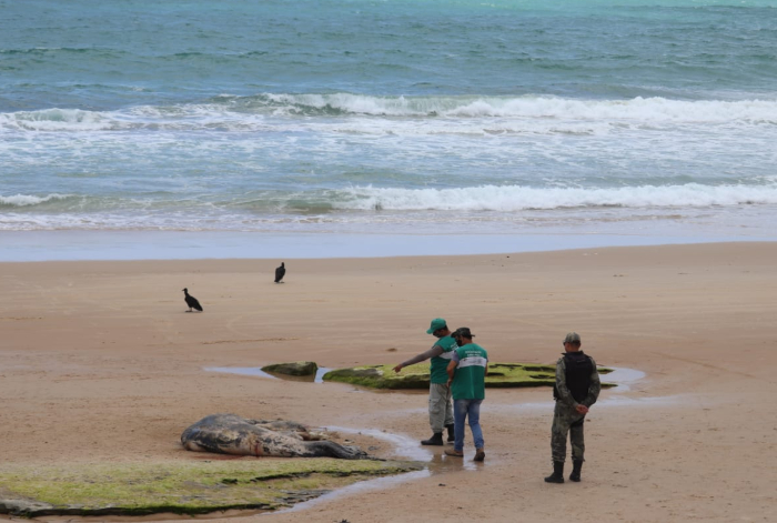  (Foto: Joo Barbosa/SECOM Cabo de Santo Agostinho)