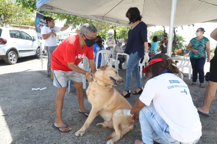 (Foto: Divulgação) (Foto: Divulgação)