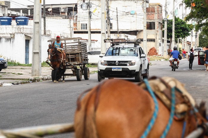 Flagrante de circulao de carroceiros no bairro do Arruda, Zona Norte do Recife. (Foto: Bruna Costa / Esp. DP FOTO)