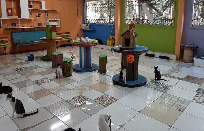 (Cortesia/WhatsApp ) (Cortesia/WhatsApp )