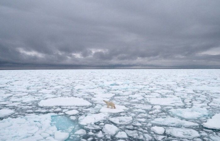  (Foto: BJ KIRSCHHOFFER / POLAR BEARS INTERNATIONAL / AFP)