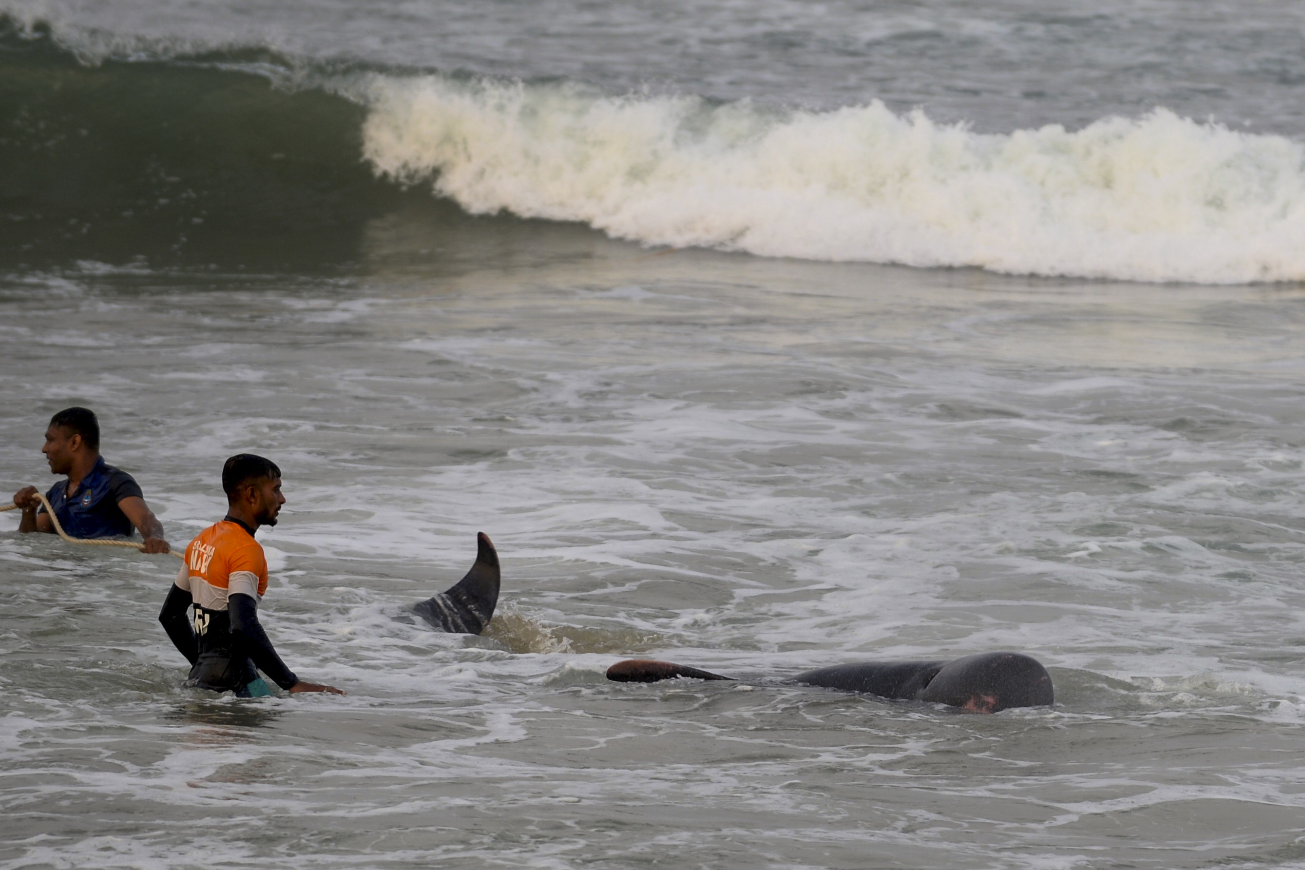 (Foto: Lakruwan WANNIARACHCHI / AFP) (Foto: Lakruwan WANNIARACHCHI / AFP)