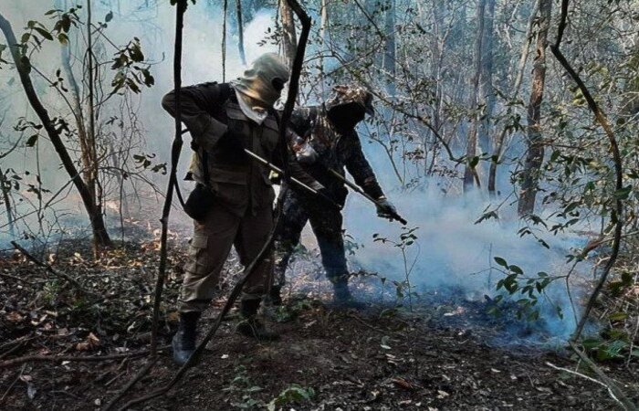 (Foto: Força Nacional de Segurança Pública) (Foto: Força Nacional de Segurança Pública)