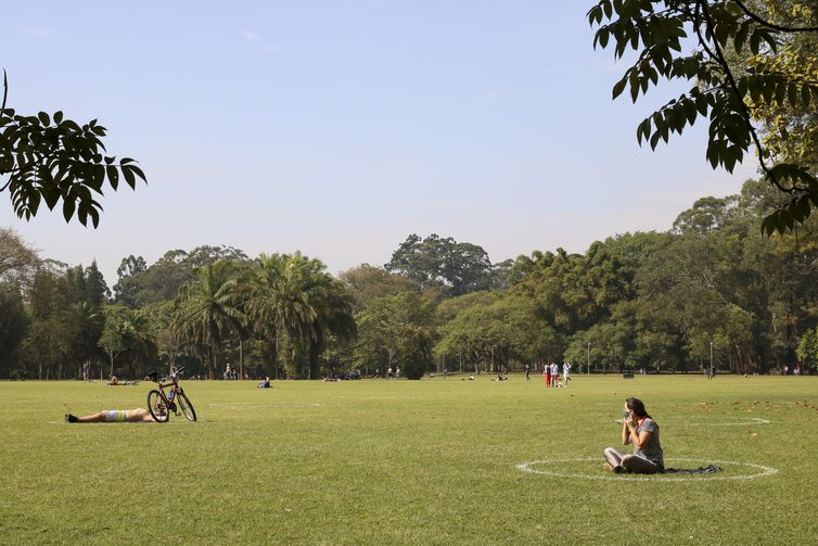 (Segundo a Organização Mundial da Saúde (OMS), a disponibilidade de áreas verdes nas cidades afeta diretamente a qualidade de vida - Rovena Rosa/Agência Brasil) (Segundo a Organização Mundial da Saúde (OMS), a disponibilidade de áreas verdes nas cidades afeta diretamente a qualidade de vida - Rovena Rosa/Agência Brasil)