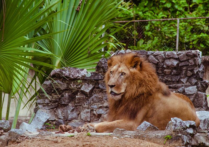  (Fotos: Lu Rocha/ Semas-PE e Acervo pessoal de Dnisson Souza)