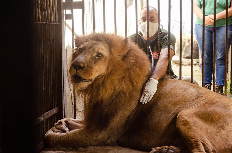  (Fotos: Lu Rocha/ Semas-PE e Acervo pessoal de Dnisson Souza)