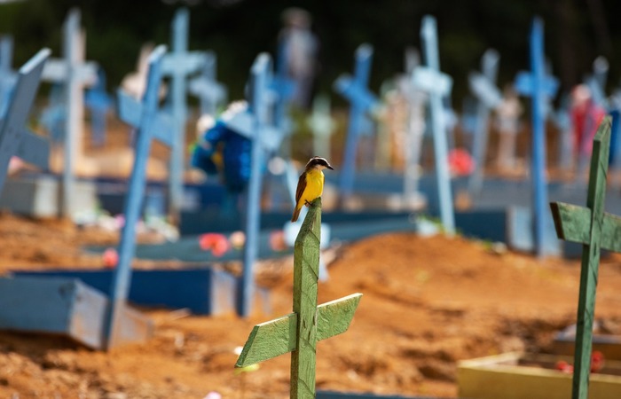 (Foto: Michael Dantas/AFP) (Foto: Michael Dantas/AFP)