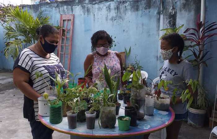 (Foto: Divulgação/Rede pela Transição Agroecológica) (Foto: Divulgação/Rede pela Transição Agroecológica)
