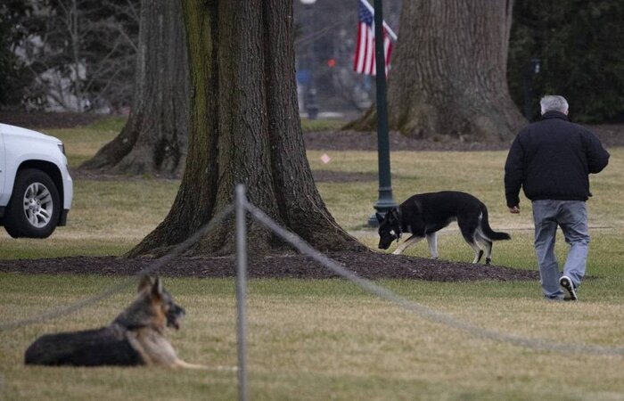  (Foto: JIM WATSON/AFP)