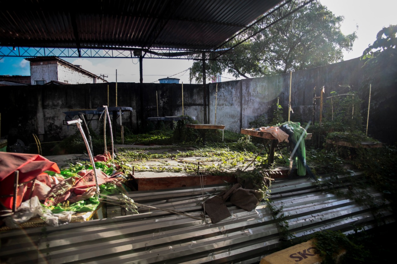 Sem recursos, ptio de alegorias est tomado pela vegetao (Foto: Arnaldo Sete/Esp. DP)