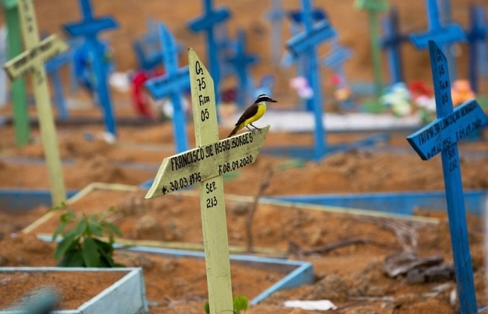 (Foto: Michael Dantas/AFP) (Foto: Michael Dantas/AFP)