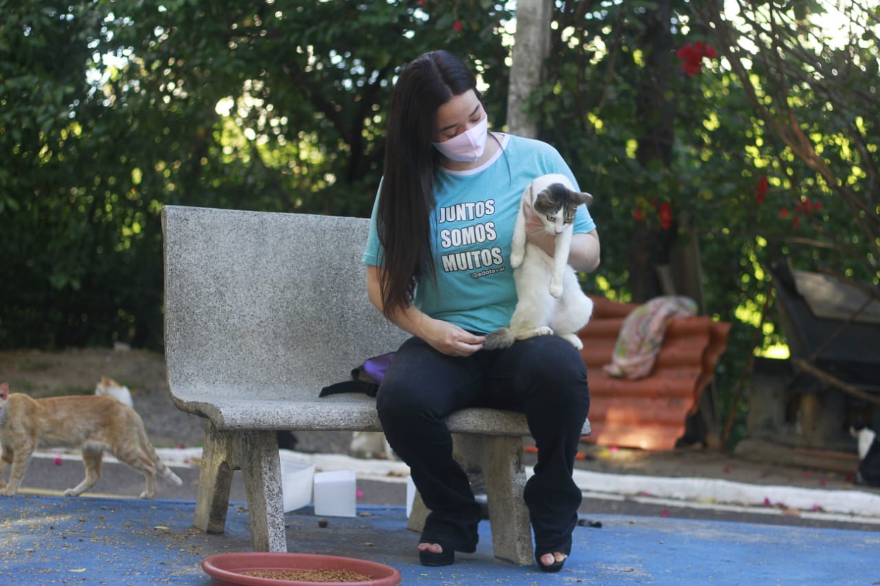 Milena usa o alcance da internet para mobilizar adoções para os gatos (Foto: Rômulo Chico/Esp. DP) Milena usa o alcance da internet para mobilizar adoções para os gatos (Foto: Rômulo Chico/Esp. DP)