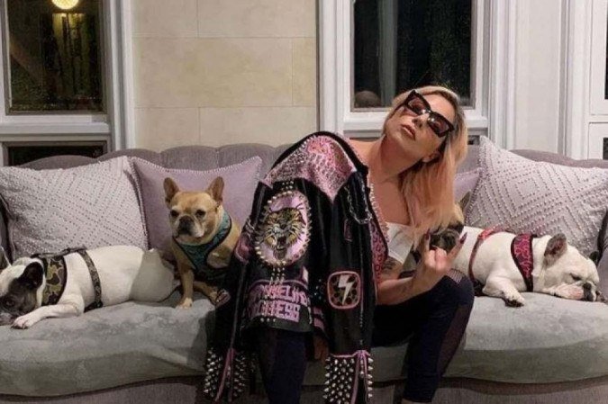Foto: Reproduo/Instagram (Os cachorros foram levados enquanto passeavam com amigo de Gaga, que foi baleado ao resistir ao roubo)