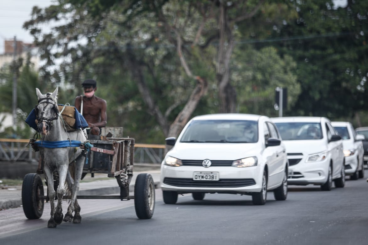  (Paulo Paiva/DP.)