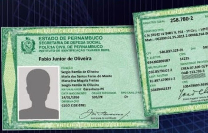 Nova modelo do documento permite a incluso de mais 11 itens (Foto: Reproduo)