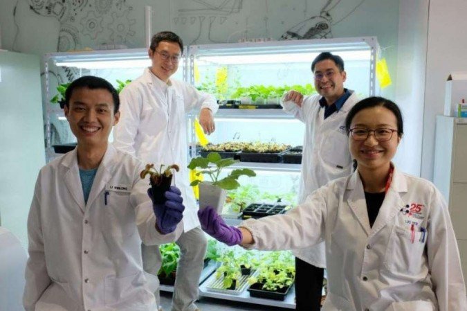 (Foto: NANYANG TECHNOLOGICAL UNIVERSITY / Divulgação) (Foto: NANYANG TECHNOLOGICAL UNIVERSITY / Divulgação)