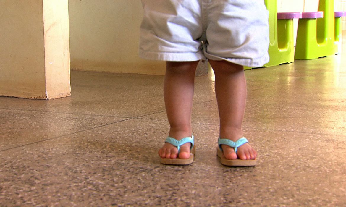 (Projeto que altera procedimentos tramita na Câmara dos Deputados. Foto: TV Brasil) (Projeto que altera procedimentos tramita na Câmara dos Deputados. Foto: TV Brasil)