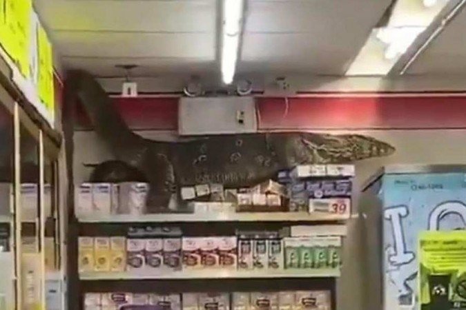 (A situação iria parecer cena de filme se não tivesse sido gravada por clientes. Foto: Reprodução
) (A situação iria parecer cena de filme se não tivesse sido gravada por clientes. Foto: Reprodução
)