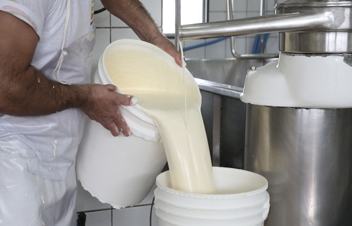 A cadeia produtiva de laticínios e da produção de leite está entre as beneficiadas pelo programa Força Local (Teresa Maia/Arquivo DP) A cadeia produtiva de laticínios e da produção de leite está entre as beneficiadas pelo programa Força Local (Teresa Maia/Arquivo DP)