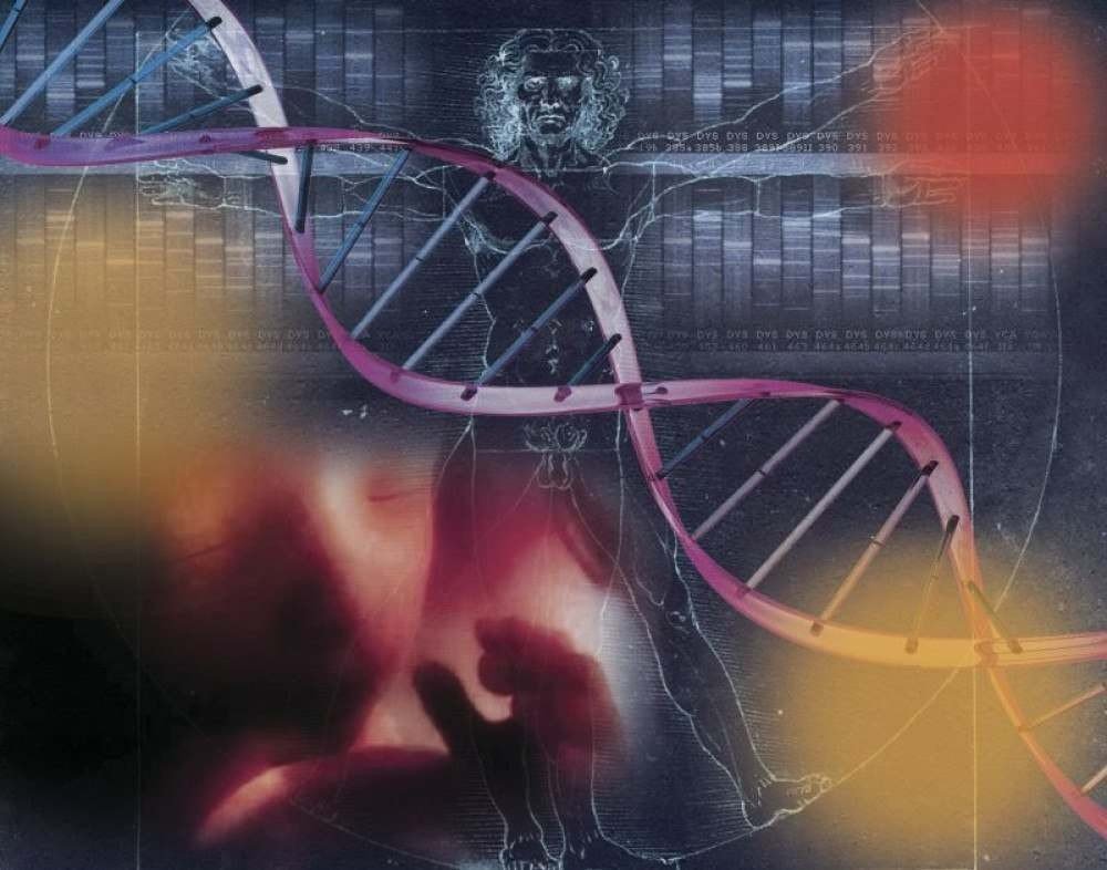 (Modelo com DNA de dois parentes próximos é criado por pesquisadores da Espanha e da China e surpreende a comunidade científica. Foto: Editoria de Arte/CB/D.A Press) (Modelo com DNA de dois parentes próximos é criado por pesquisadores da Espanha e da China e surpreende a comunidade científica. Foto: Editoria de Arte/CB/D.A Press)