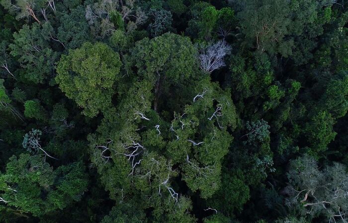 O Cubo de Dados Brasil rene imagens de diversos satlites e  capaz de mostrar, ao longo do tempo, como o solo brasileiro  utilizado (Divulgao/TV Brasil)