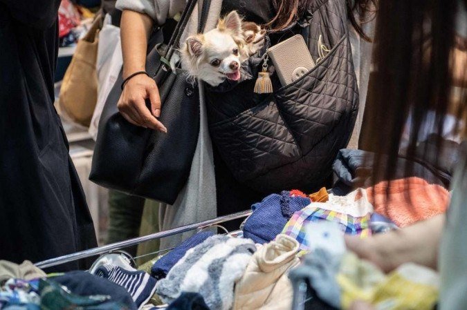  (O setor foi classificado como servio essencial, o que permitiu manter as lojas e clnicas veterinrias abertas em meio s restries impostas no pas desde maro de 2020. Foto: PHILIP FONG/AFP
)