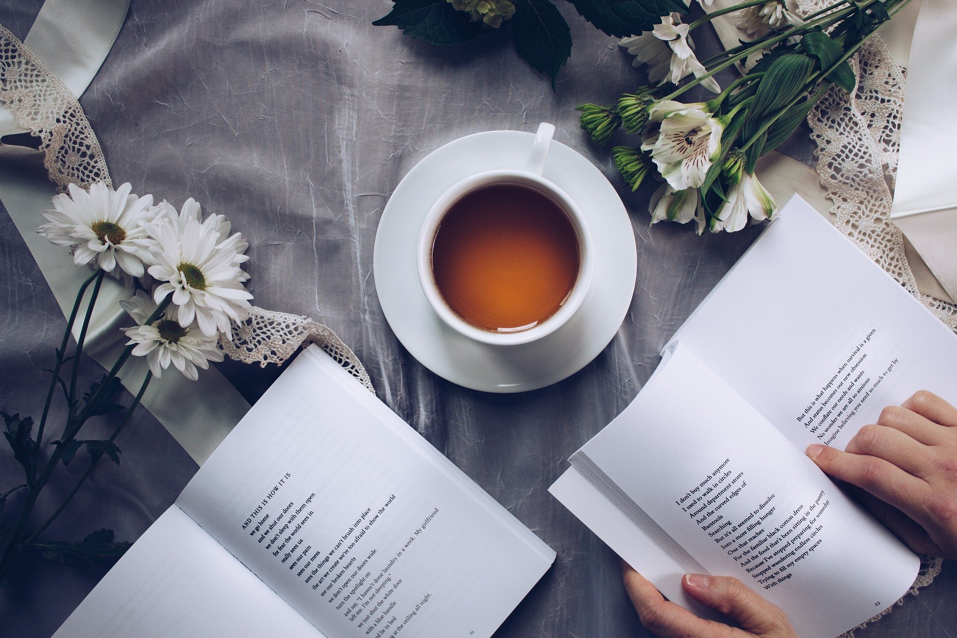 (Hoje se comemora o Dia Mundial do Livro. Foto: Reprodução/Pixabay
) (Hoje se comemora o Dia Mundial do Livro. Foto: Reprodução/Pixabay
)