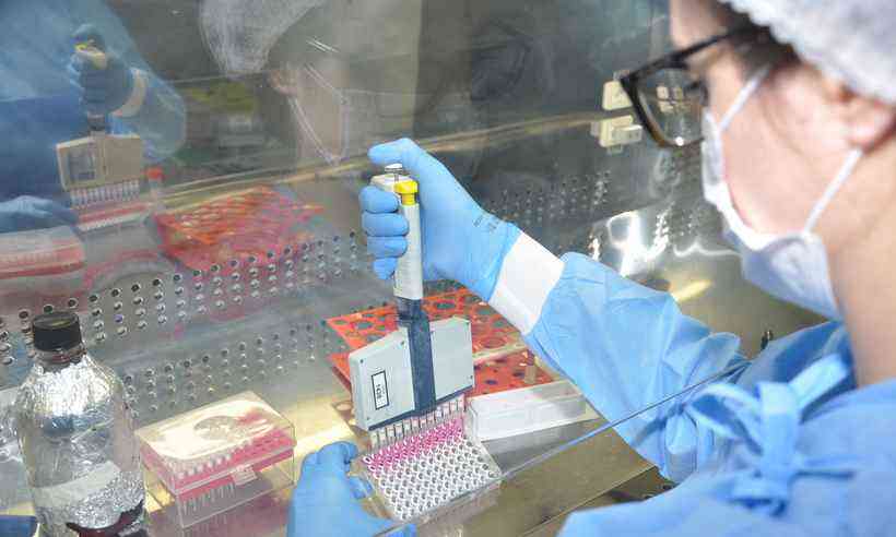 (Estudo analisou quase 1 mil amostras. Foto: Fiocruz/Divulgação) (Estudo analisou quase 1 mil amostras. Foto: Fiocruz/Divulgação)