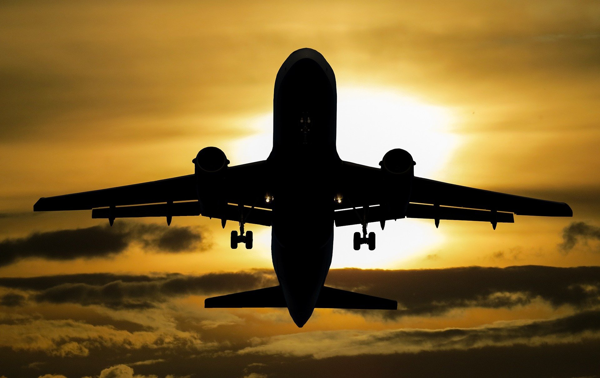 (Foto: Reprodução/Pixabay) (Foto: Reprodução/Pixabay)