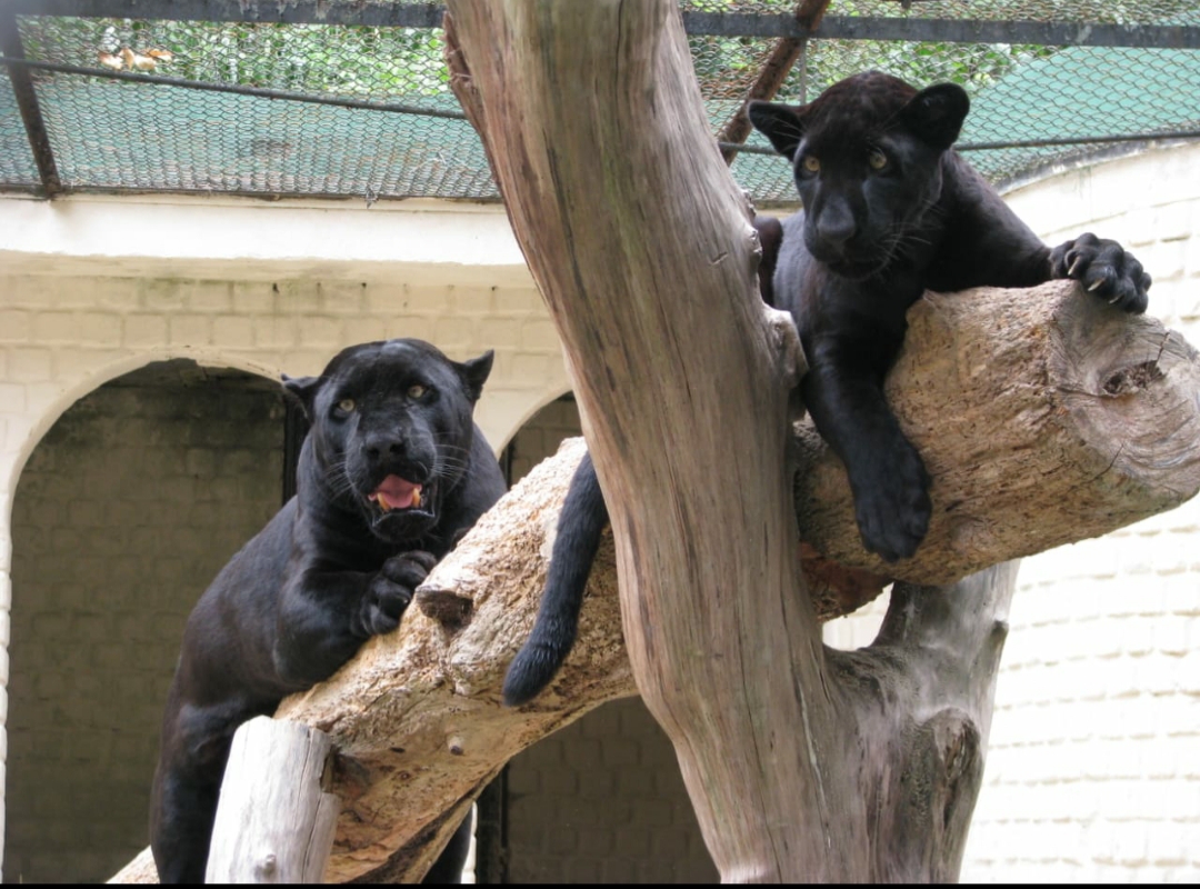 Pel (direita) e sua me (esquerda) (Divulgao/Brbara Lins)