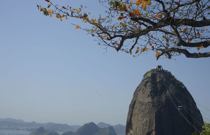 O impacto da explosão foi tamanho que a estrutura do imóvel ficou abalada.
(Tânia Rego/Agência Brasil) O impacto da explosão foi tamanho que a estrutura do imóvel ficou abalada.
(Tânia Rego/Agência Brasil)