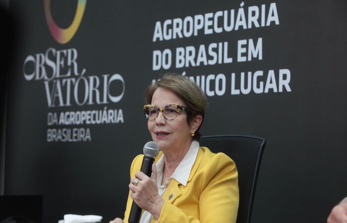 Segundo o Ministério da Agricultura, o portal deve receber cerca de 1 milhão de consultas por semana (Carlos Silva/Mapa) Segundo o Ministério da Agricultura, o portal deve receber cerca de 1 milhão de consultas por semana (Carlos Silva/Mapa)