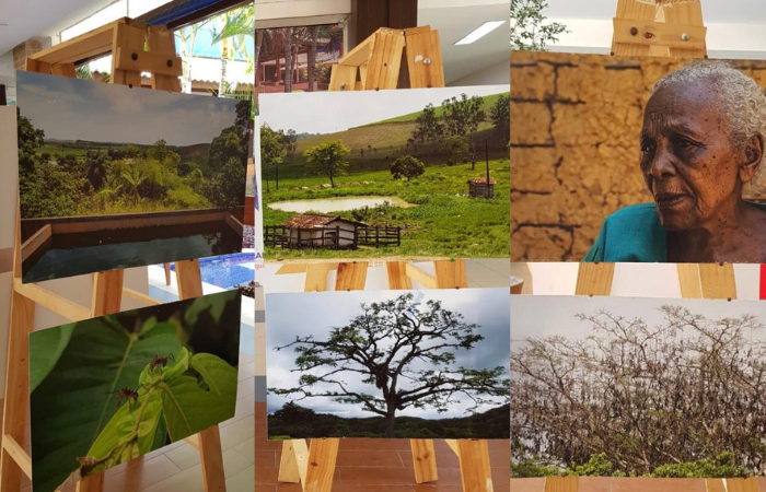 As fotos foram feitas em uma das nove unidades de conservao do municpio (Foto: Divulgao)