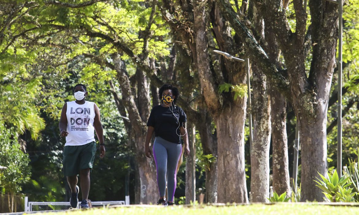 (Horto Florestal e Parque da Cantareira ficam na zona norte da capital. Foto: Rovena Rosa/Agência Brasil) (Horto Florestal e Parque da Cantareira ficam na zona norte da capital. Foto: Rovena Rosa/Agência Brasil)