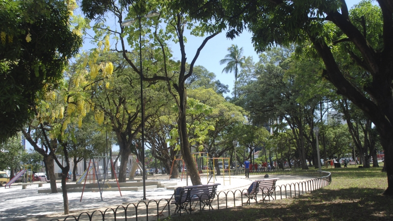  (Divulgao)