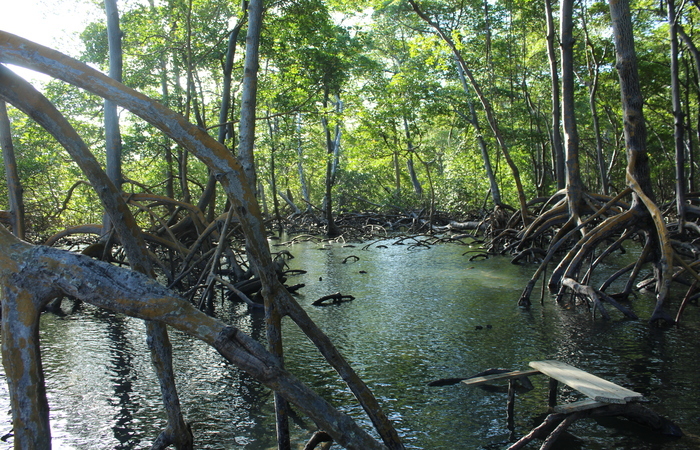  (Foto: Arquivo/LMI Tapioca)