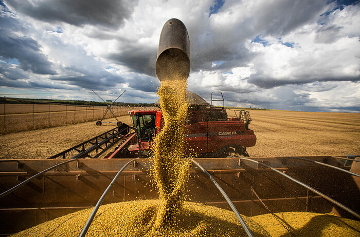 Soja respondeu por 60% das exportações do agronegócio. Foto: Wenderson Araújo/Trilux/CNA