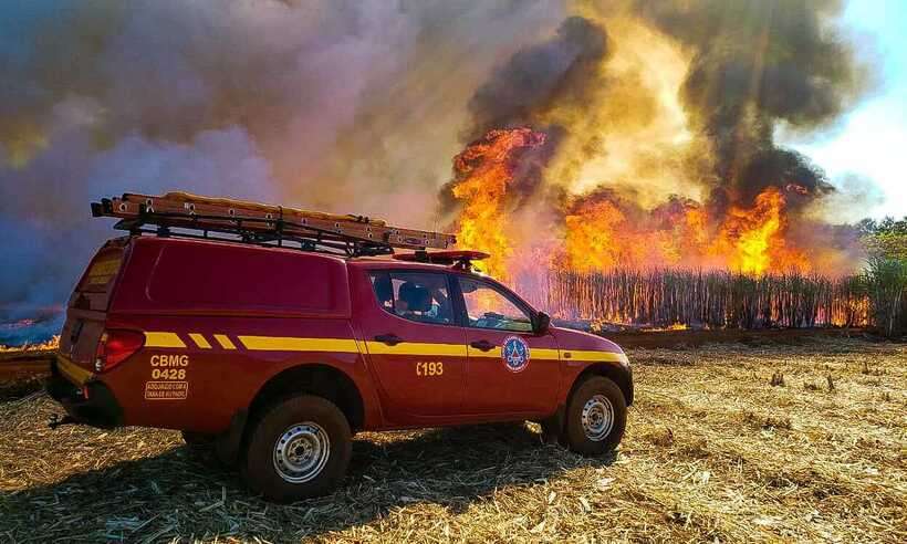  (Nmero de incndios em matas so os que mais preocupam os bombeiros. Foto: CBMMG/Divulgao)