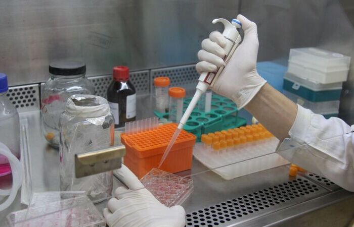Exames tem a mesma confiabilidade do RT-PCR, com custo menor (Foto: Fiocruz/Divulgao)