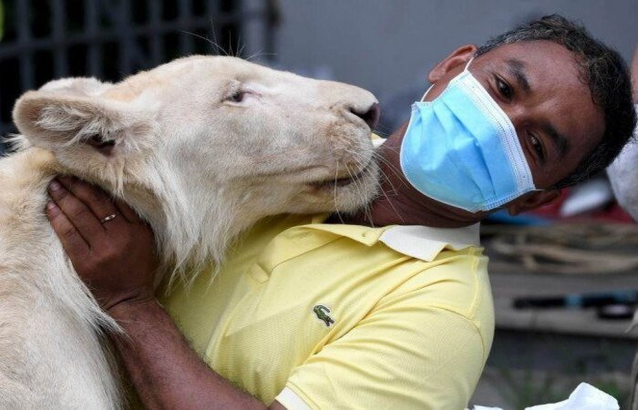 (crédito: TANG CHHIN Sothy / AFP) (crédito: TANG CHHIN Sothy / AFP)