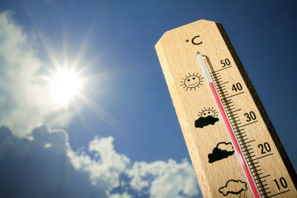 (Foto: Reprodução/Shutterstock) (Foto: Reprodução/Shutterstock)