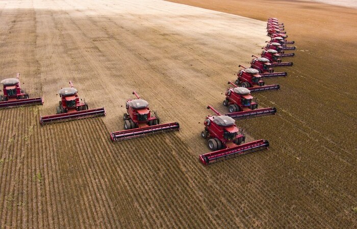 Valor da Produção Agropecuária de 2021 é estimado em R$ 1,099 trilhão - Vimarsana News