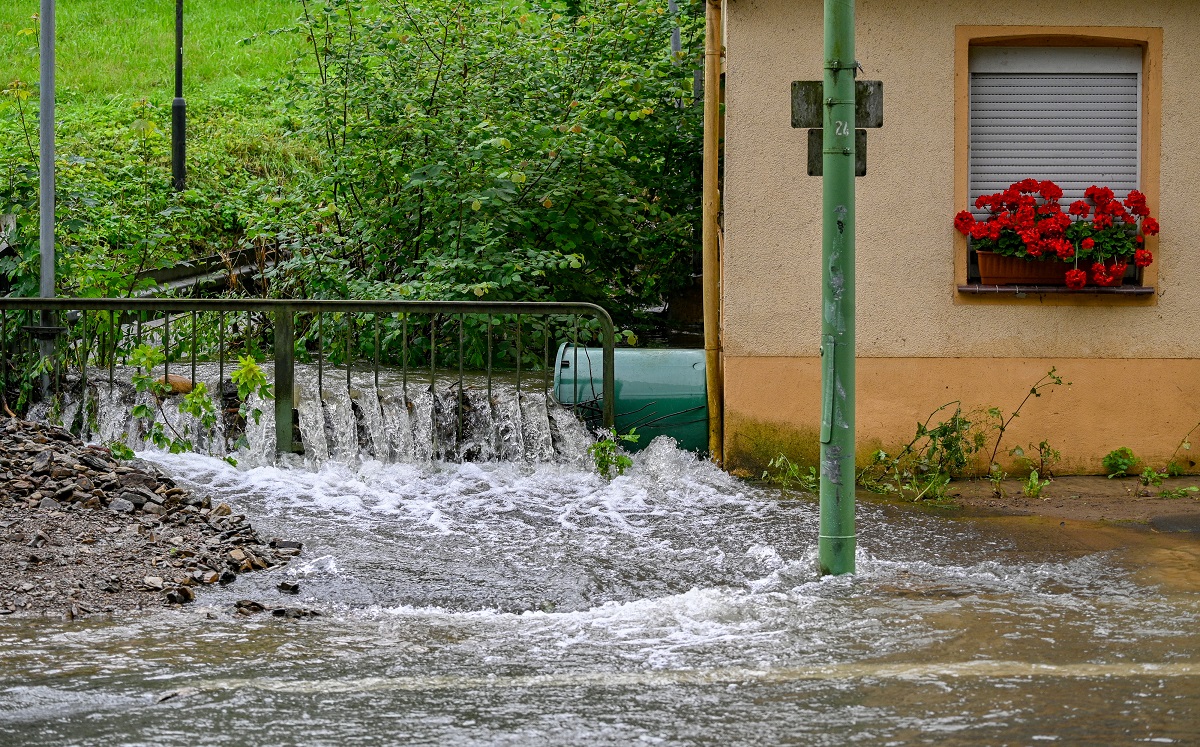  (Foto: SASCHA SCHUERMANN / AFP)