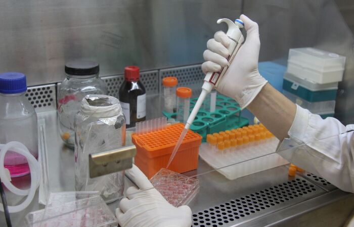 Segundo desenvolvedores, eficácia é de 100% se comparada ao teste PCR (Foto: Fiocruz/Arquivo) Segundo desenvolvedores, eficácia é de 100% se comparada ao teste PCR (Foto: Fiocruz/Arquivo)