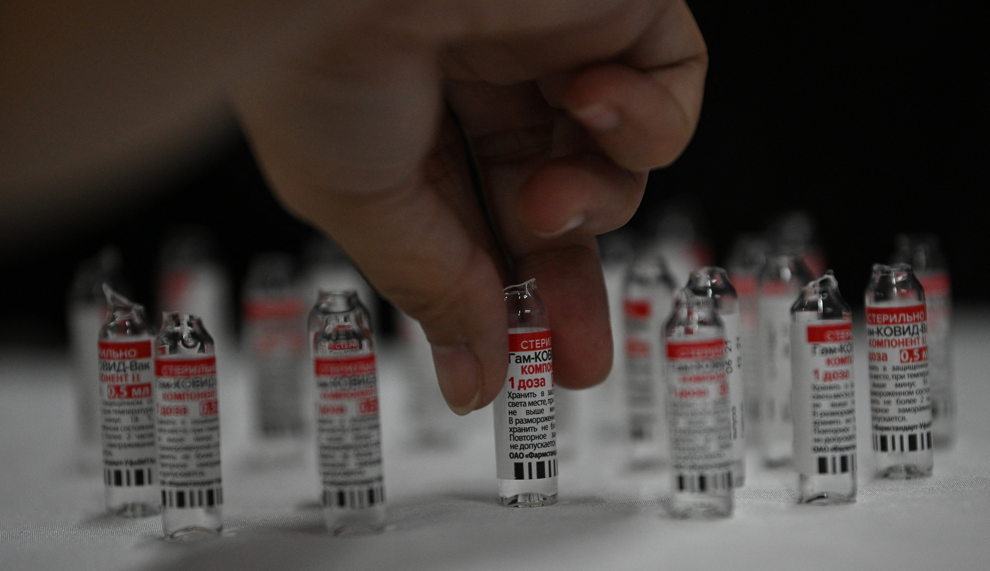 (Estabelecimentos que fabricam imunizantes animais estão autorizados a produzir os insumos, desde que cumpram normas sanitárias e exigências de biossegurança adotadas por instituições especializadas em vacinas para humanos. Foto: Ted ALJIBE / AFP) (Estabelecimentos que fabricam imunizantes animais estão autorizados a produzir os insumos, desde que cumpram normas sanitárias e exigências de biossegurança adotadas por instituições especializadas em vacinas para humanos. Foto: Ted ALJIBE / AFP)