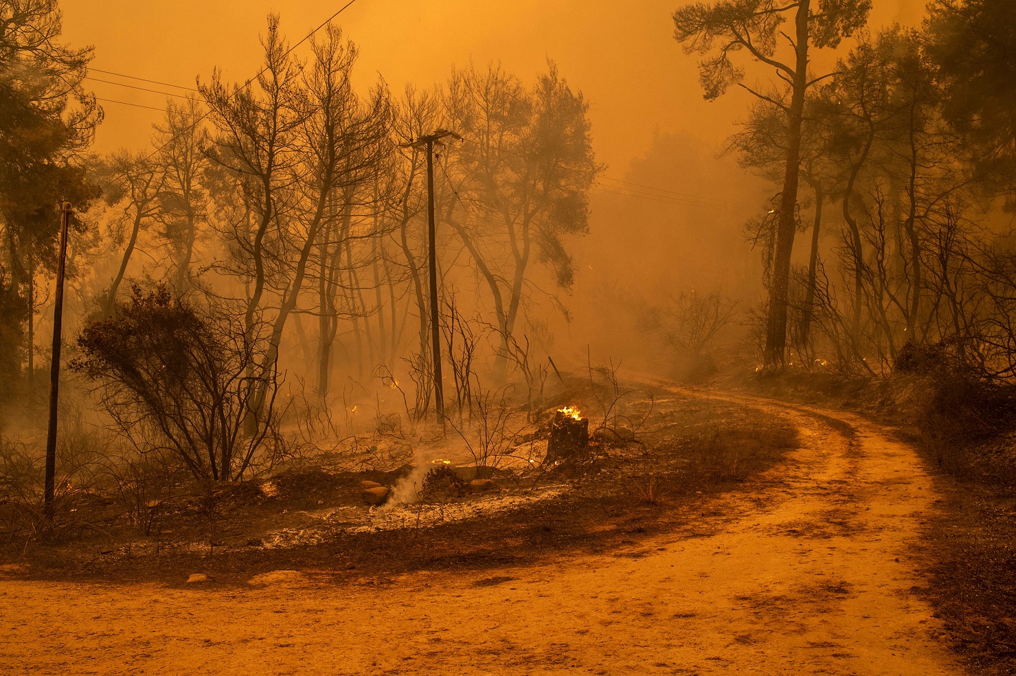  (Foto: ANGELOS TZORTZINIS / AFP)