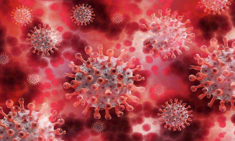  (Cientistas descobrem como a principal enzima responsvel pela multiplicao do coronavirus funciona. Foto: Reprodua/Pixabay)